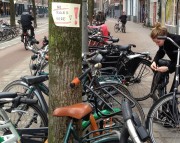 Stadsleven: De fiets  zal zegevieren