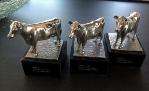 Zilverkleurige koe-trofeeën op sokkels met namen zoals "Maas 50", "Henry 144", "Pieter 50" en vermeldingen van melkproductie.
