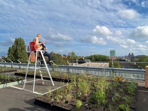 Vrouw op rode stoel op dak met plantenbakken, uitzicht op stad en bewolkte hemel.