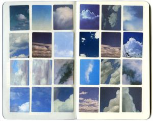 Tien rijen van vier foto's van luchten met wolken, sommige helderblauw, andere donker met gestreepte en pluizige wolken.