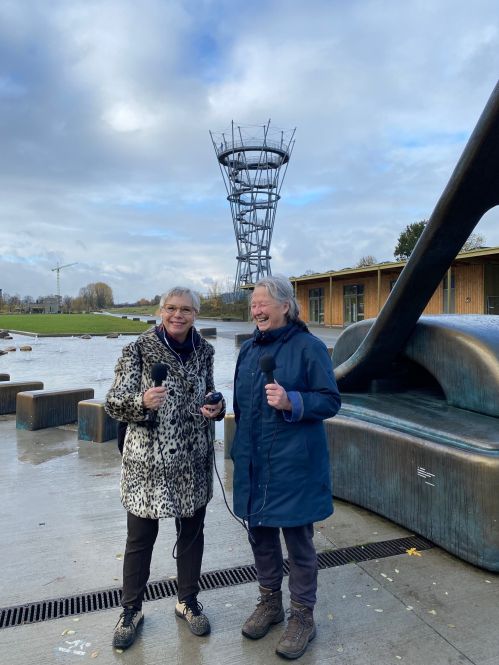 Groot metalen beeld in stadspark, met mensen en uitkijktoren op bewolkte dag.