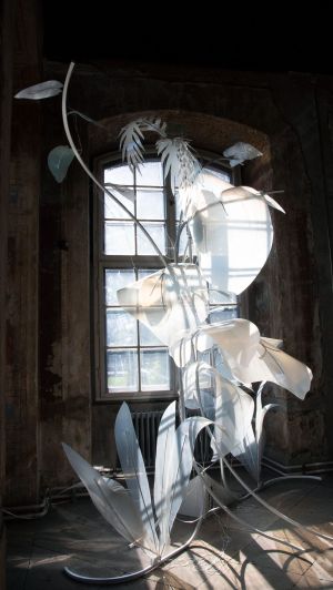 Witte plantachtige installatie met grote bladeren en bloemen voor een raam met zonlicht.