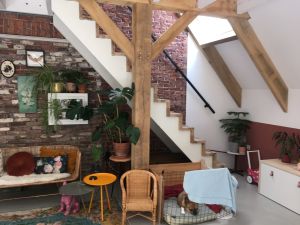 Hond in bench naast trap met houten balken, bakstenen muur en bank.